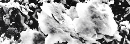 metalinių miltelių maltų dribsnių miltelių gamyba purškiama Lenkija