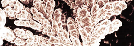 metalinių miltelių maltų dribsnių miltelių gamyba purškiama Lenkija